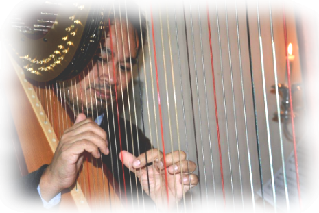 Harfeninstrument